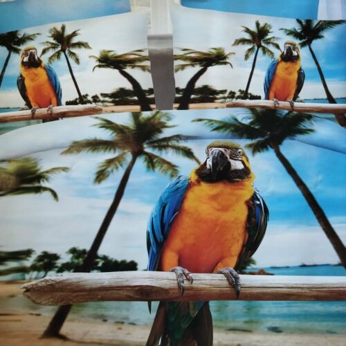 Parure De Couette N°097 - Perroquet (couleurs multiples)